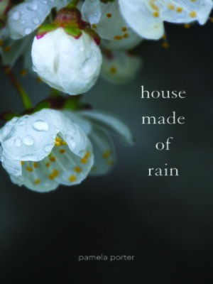 cover image of House Made of Rain